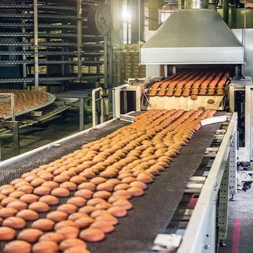 Food processing industry