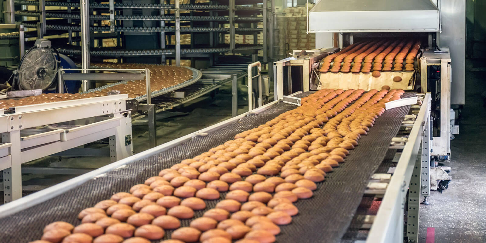 food processing industry